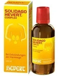 Solidago Hevert Complex Tropfen 100 ml