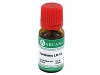 CANTHARIS LM 6 Dilution 10 Milliliter