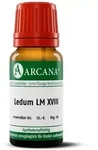 Ledum LM 18 Dilution 10 ml