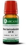 RHUS Toxicodendron LM 6 Dilution 10 ml