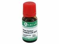 RHUS TOXICODENDRON LM 18 Dilution 10 Milliliter