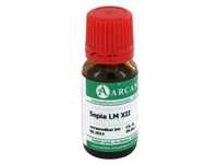 SEPIA LM 12 Dilution 10 Milliliter