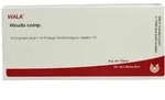 Hirudo Comp.ampullen 10X1 ml