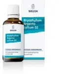 Bryophyllum Argento Cultum D 3 Dilution 50 ml