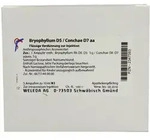 Bryophyllum D 5/conchae D 7 Ampullen 5X10 ml