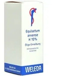 Equisetum Arvense H 10% &ouml;lige Einreibung 50 ml