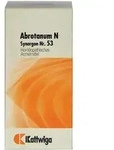 Synergon Komplex 53 Abrotanum N Tablette 100 St