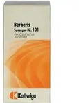 Synergon Komplex 101 Berberis Tabletten 100 St