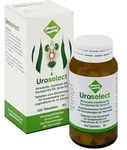 Uroselect Tabletten 100 St