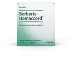 Berberis Homaccord Ampullen 10 St