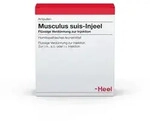 Musculus SUIS Injeel Ampullen 10 St