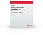 Musculus SUIS Injeel forte Ampullen 10 St