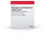 Syzygium Jambolanum Injeel forte Ampulle 10 St