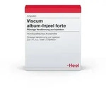 Viscum Album Injeel forte Ampullen 10 St