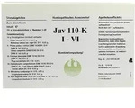 JUV 110 K I-VI Globuli 6X20 g