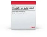 Hypophysis SUIS Injeel Ampullen 100 St