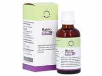 MATRIX-Entoxin Tropfen 50 Milliliter
