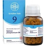 DHU Sch&uuml;&szlig;ler-Salz Nr. 9 Natrium phosphoricum D6 420 St