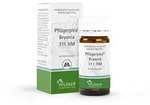 Pfl&uuml;gerplex Bryonia 311 HM Tabletten 100 St