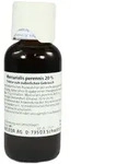 Mercurialis Perennis 20% Tinktur 100 ml