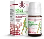 Rhus toxicodendron D6 DHU 80 St