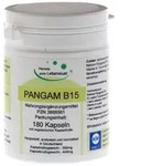 Pangam Vitamin B15 Vegi Kapseln 180 St