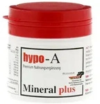 HYPO A Mineral plus Kapseln 100 St