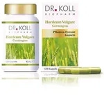 Dr. Koll Gerstengras - Hordeum vulgara 120 St
