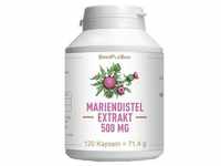 MARIENDISTEL EXTRAKT 500 mg MONO Kapseln 120 Stück
