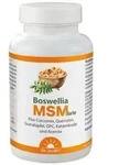 Dr. Jacob's Boswellia MSM forte mit Weihrauch+Quercetin+OPC 90 St