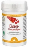 Dr. Jacob's Eisen-Phospholipid mit Mango-Pulver liposomal 64 g