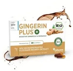 St&auml;rkste Bio Ingwer-Extrakt Kapseln &ndash; Gingerin PLUS&reg; 60 St