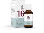 Sch&uuml;&szlig;ler-Salz Nr. 16 Lithium chloratum D12 15 g