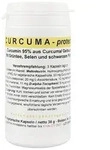 Curcuma Protect Kapseln 90 St