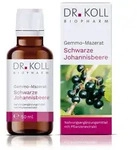 Gemmo Mazerat schwarze Johannisbeere Dr.Koll Ribes 50 ml