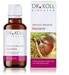 Gemmo Mazerat Kastanie Dr.Koll Castanea vesca Tropfen 50 ml