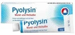 Pyolysin Wund- und Heilsalbe 6 g