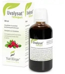 Uvalysat Fl&uuml;ssigkeit zum Einnehmen 100 ml