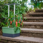 Mein sch&ouml;ner Garten DE Gusta Garden CHARLY CHILI V57555-G
