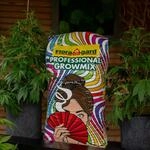 Mein sch&ouml;ner Garten DE Floragard Spezialerde Indoor 'Professional Grow Mix', 2...