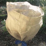 Mein sch&ouml;ner Garten DE SIENA GARDEN Jute-Schutzvlies 594214-G