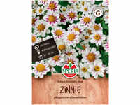 Mein schöner Garten DE SPERLI Zinnie 'Zahara Starlight Rose' EH001706-001
