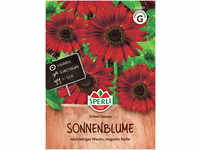 Mein schöner Garten DE SPERLI Sonnenblume 'Velvet Queen' EH001475-001