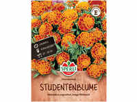 Mein schöner Garten DE SPERLI Studentenblume 'Honeycomb' EH001494-001
