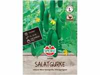 Mein schöner Garten DE SPERLI Salatgurke 'Lothar', F1 EH001446-001