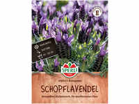 Mein schöner Garten DE SPERLI SPERLI's Lavendel 'Kronjuwel' EH001462-001