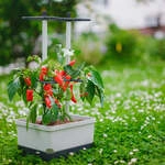 Mein sch&ouml;ner Garten DE Gusta Garden CHARLY CHILI S54000-G
