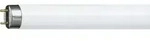 Philips Leuchtstofflampe "MASTER TL-D Super 80" 1200mm 36W/840