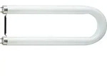 TL-D U 36W 840 T8 U-R&ouml;hre Philips