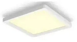 LED HUE PANEL AURELLE 19W 2200-6500K WEI&szlig; DIMM